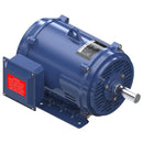 Marathon GT0073-P 40HP MARATHON 1780RPM 324T DP 3PH GLOBETROTTER MOTOR