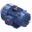 Marathon GT1224A General Purpose Motor