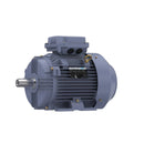 Marathon R331B IEC Motor