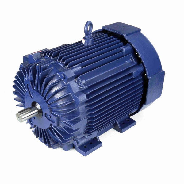 Marathon E615 Severe Duty Motors