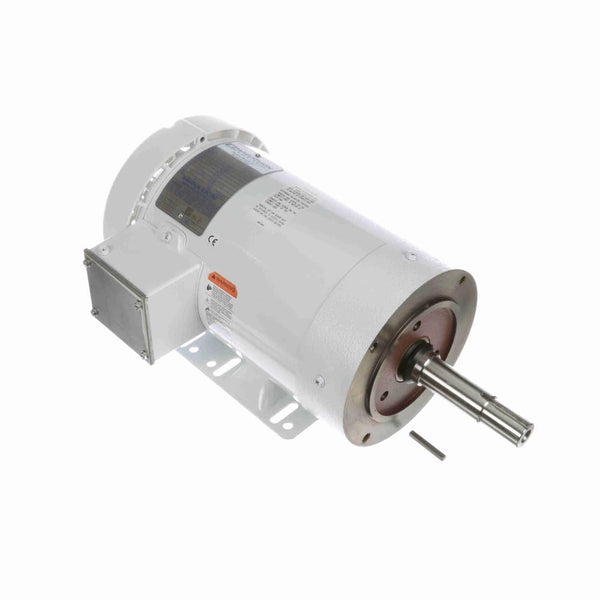 Marathon N206A White Epoxy Washdown Motors