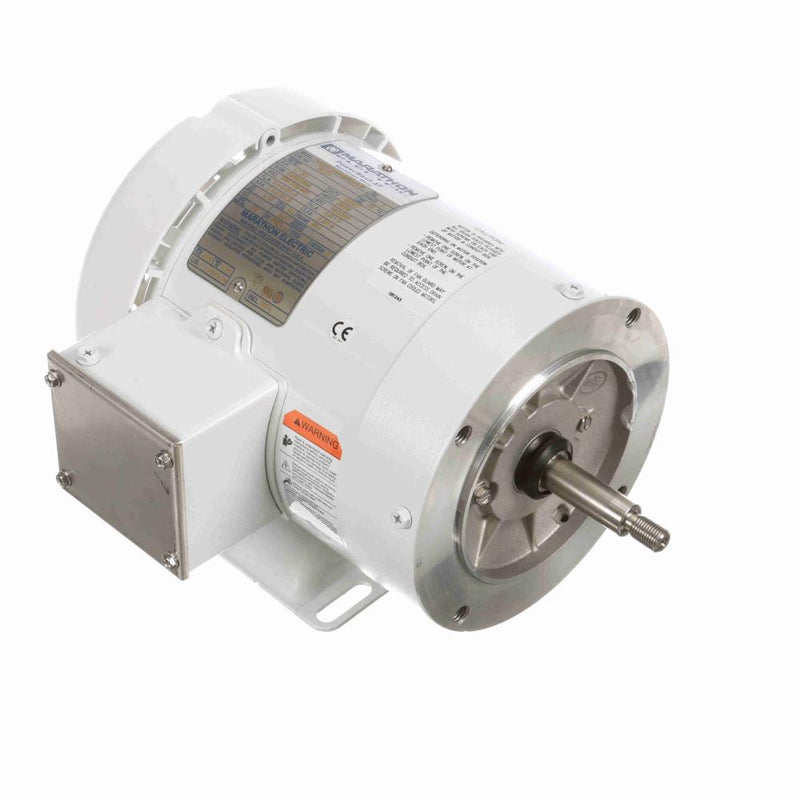 Marathon N222 White Epoxy Washdown Motor