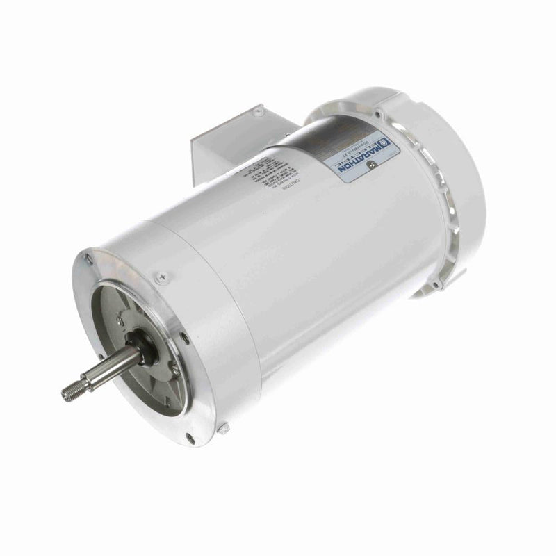 Marathon N238A White Epoxy Washdown Motors