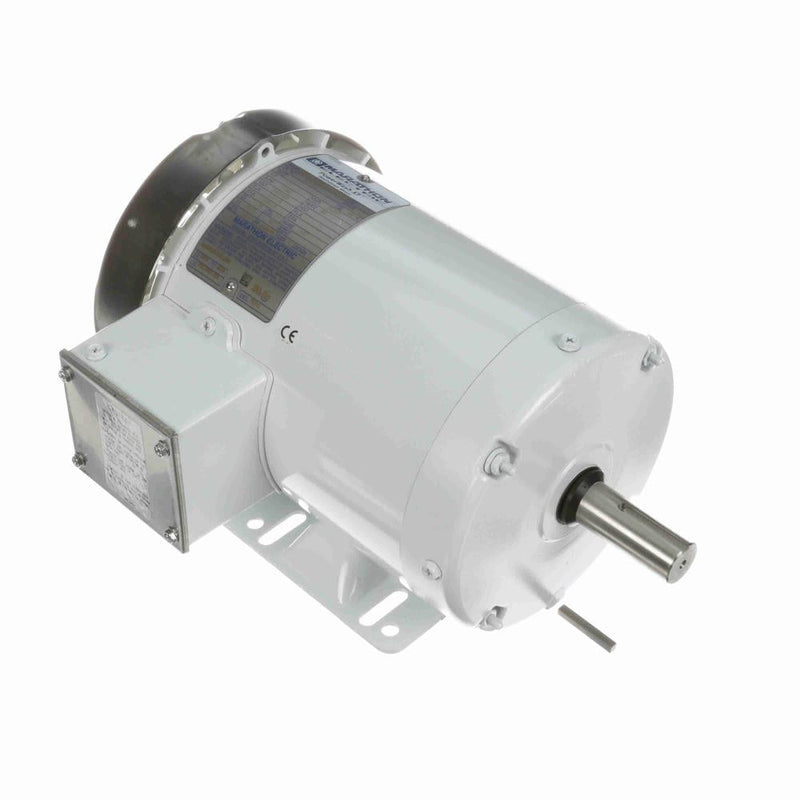 Marathon N310A White Epoxy Washdown Motors