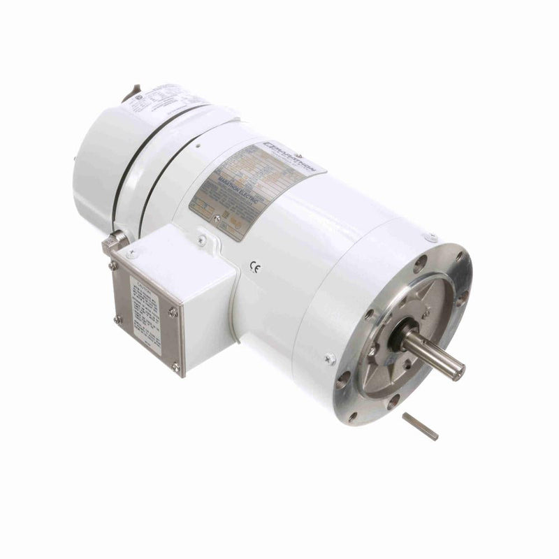 Marathon N375 White Epoxy Washdown Motor