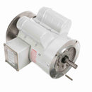 Marathon N525 White Epoxy Washdown Motor