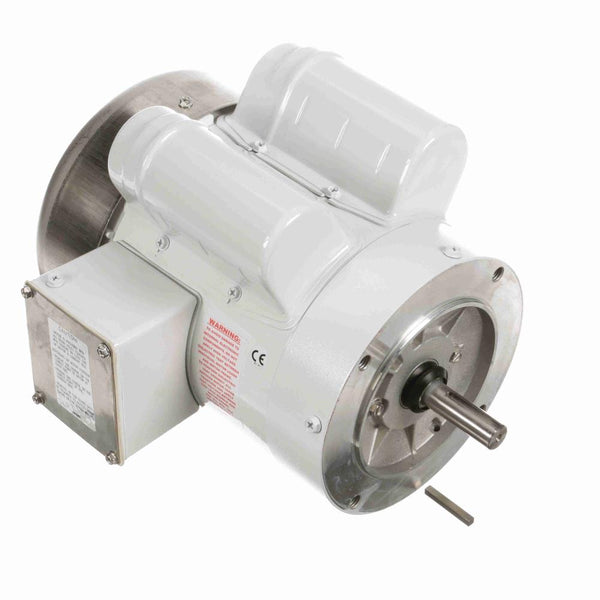 Marathon N525 White Epoxy Washdown Motor