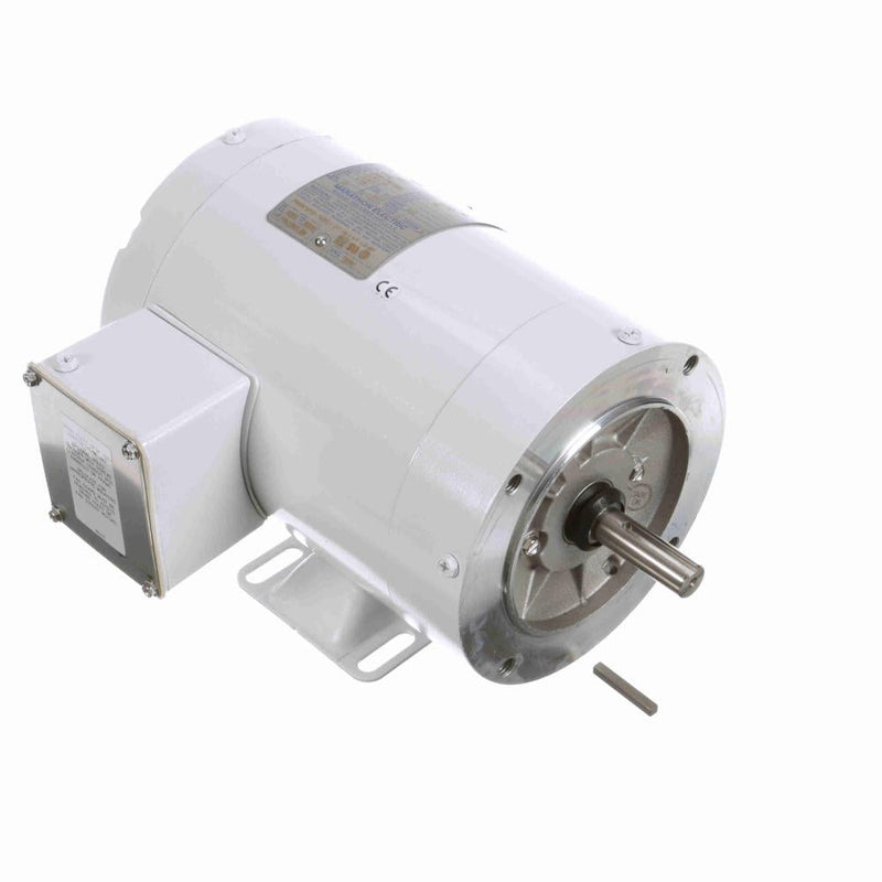 Marathon N568 White Epoxy Washdown Motor