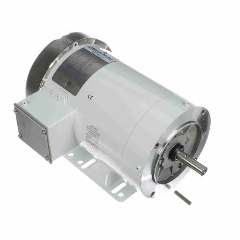 Marathon N604A White Epoxy Washdown Motor