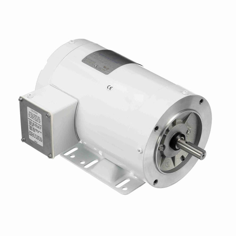 Marathon N605 White Epoxy Washdown Motor