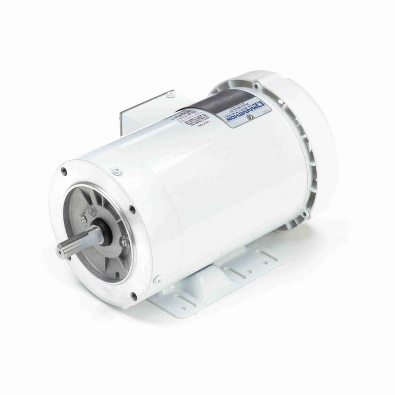 Marathon N606A White Epoxy Washdown Motor