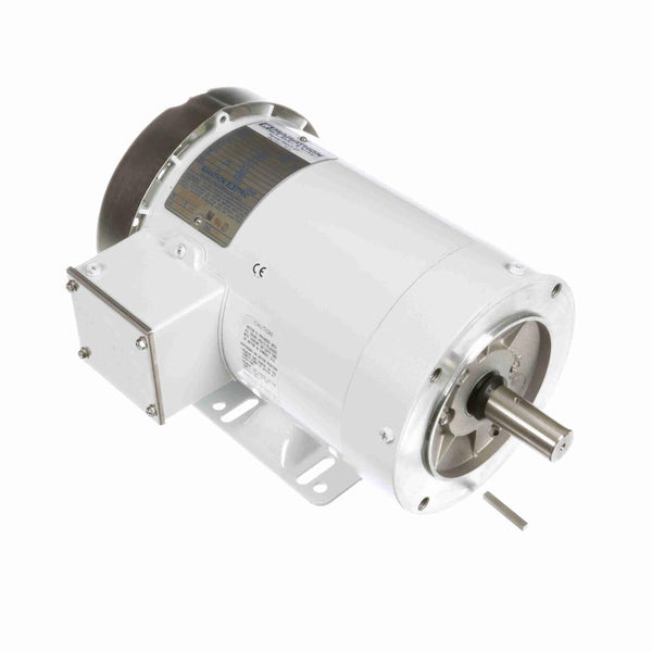 Marathon N607A White Epoxy Washdown Motors