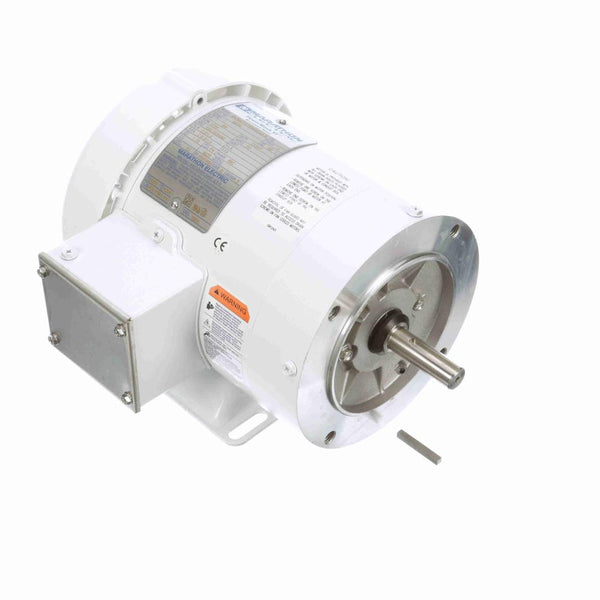 Marathon N633 White Epoxy Washdown Motor