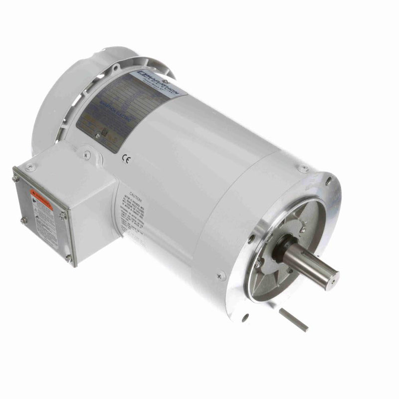 Marathon N650A White Epoxy Washdown Motor