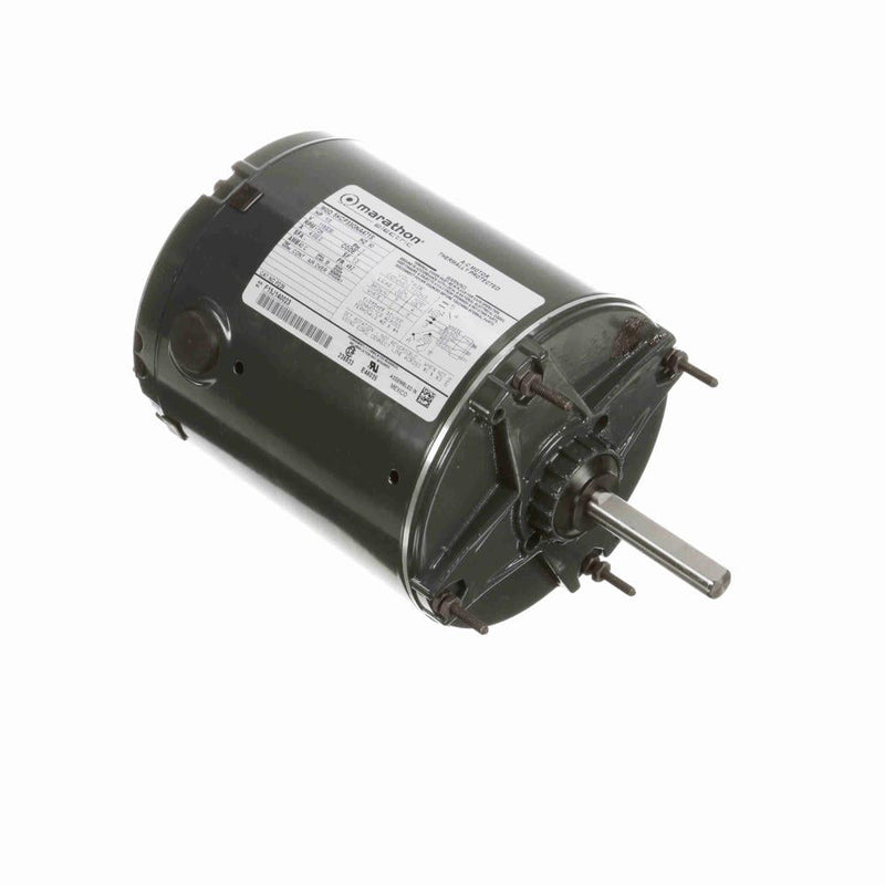 Marathon P239 Poultry Duty Motors