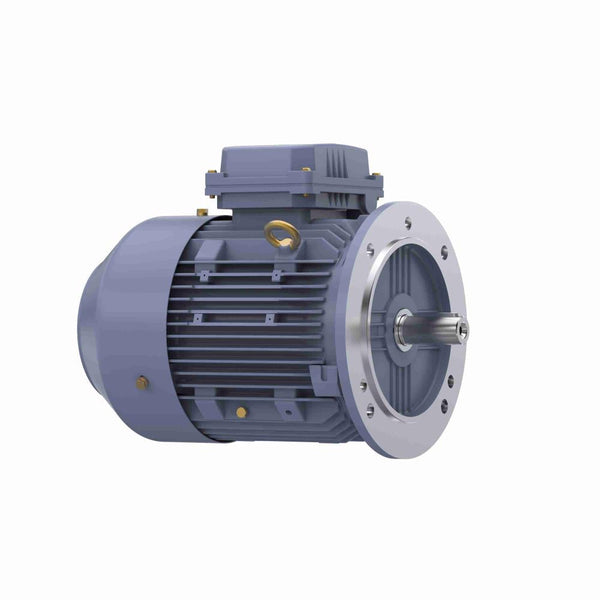 Marathon R252 IEC Motor