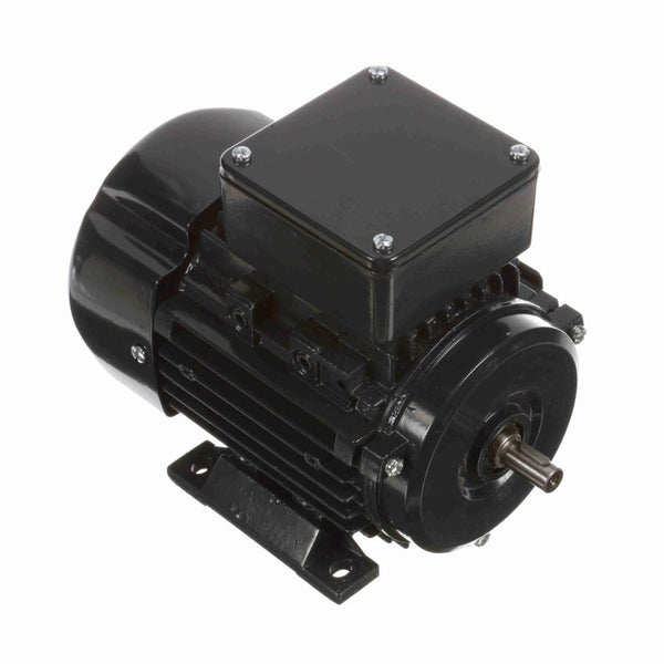 Marathon R300 IEC Motor