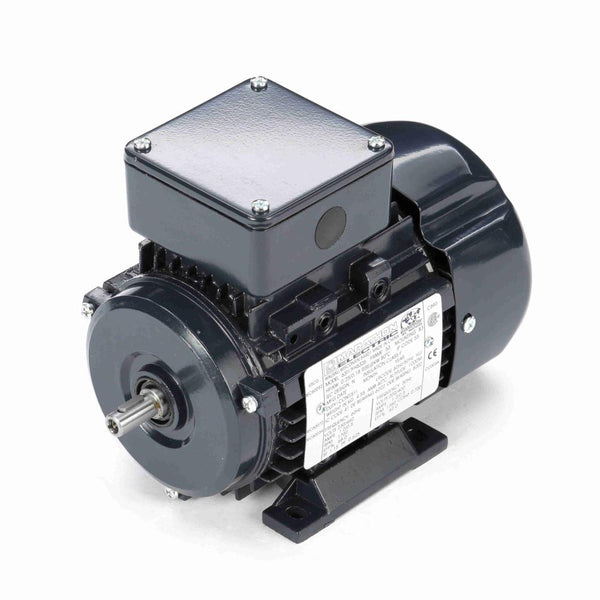 Marathon R301 IEC Motors