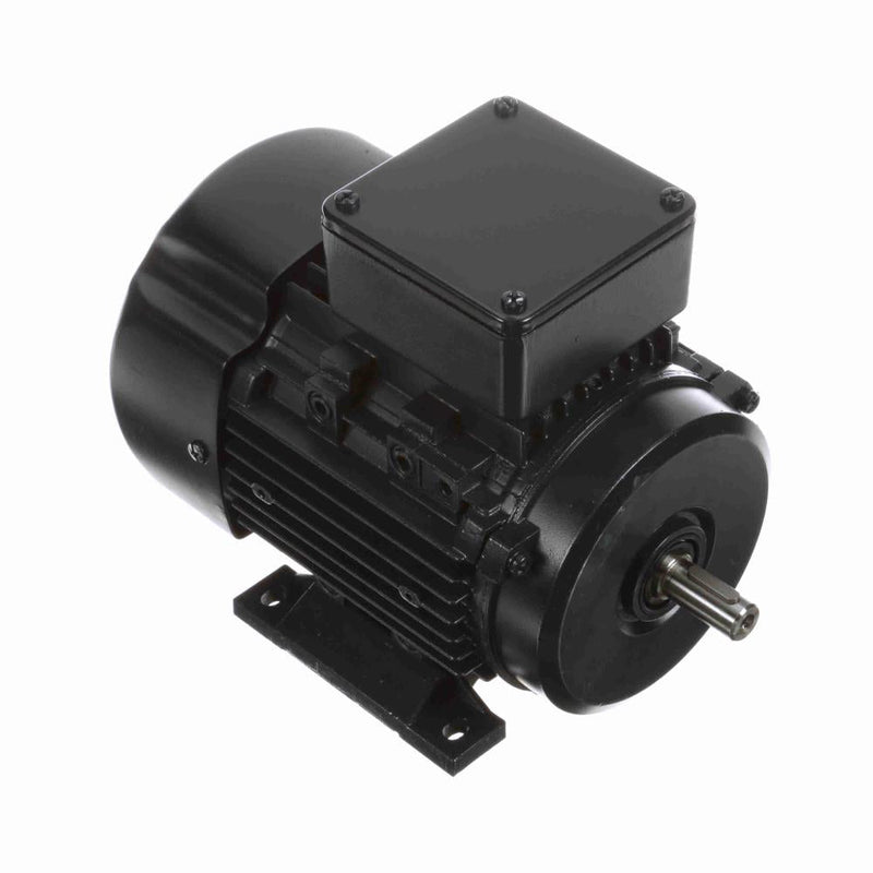 Marathon R306 IEC Motor