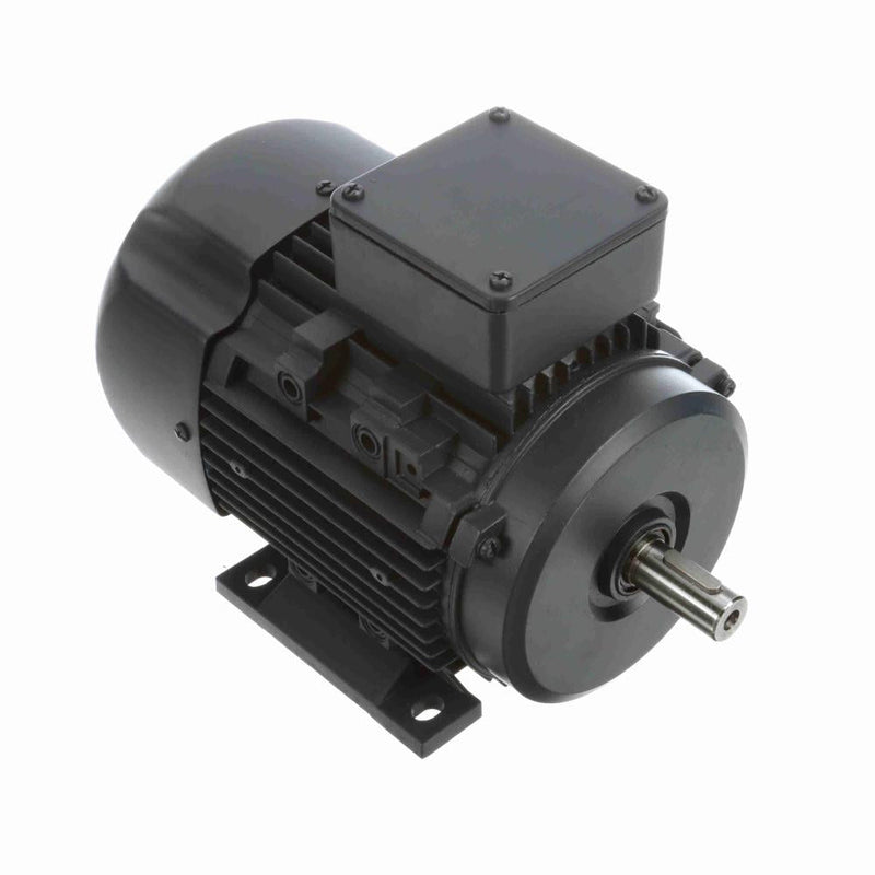 Marathon R308 IEC Motors