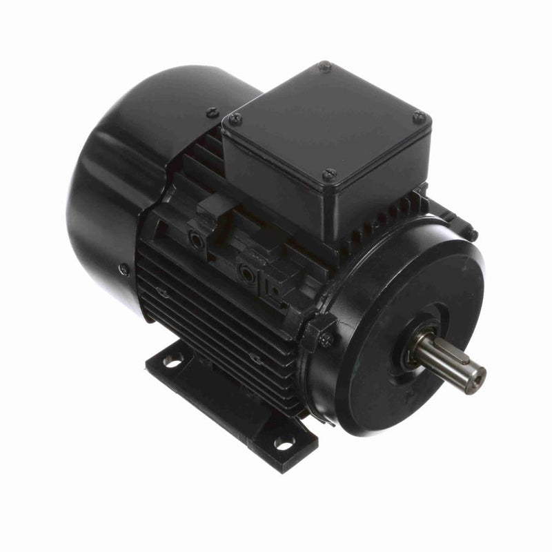 Marathon R310 IEC Motors