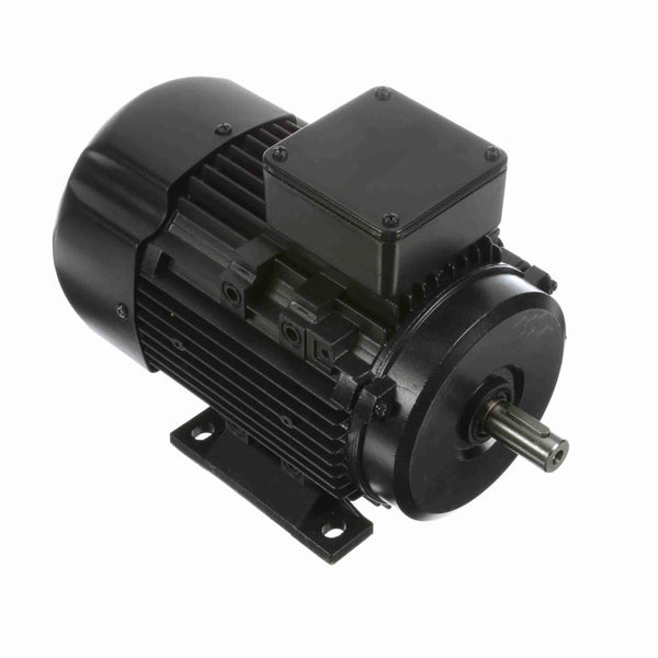 Marathon R313A IEC Motor