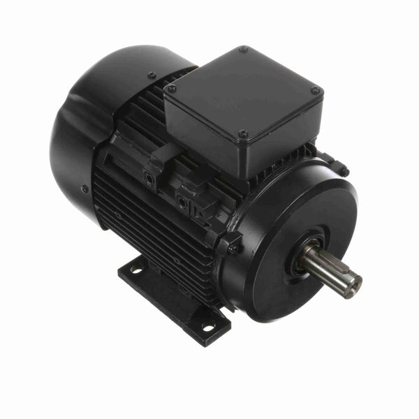 Marathon R314A IEC Motors