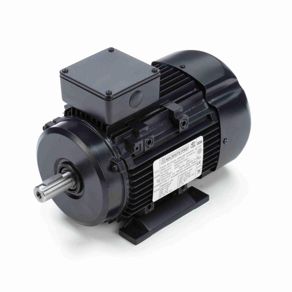 Marathon R319A IEC Motors