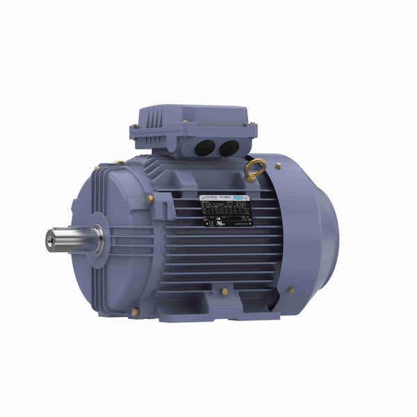 Marathon R329B IEC Motors