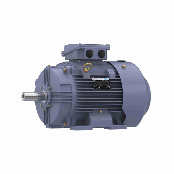 Marathon R333B IEC Motor