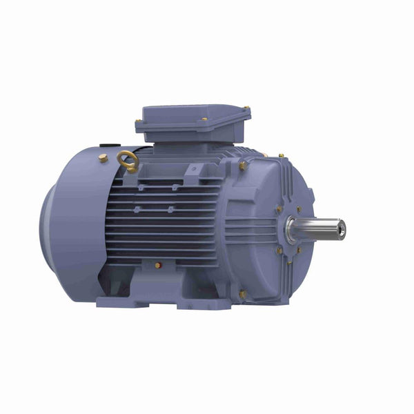 Marathon R337B IEC Motors