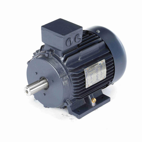 Marathon R353A IEC Motor