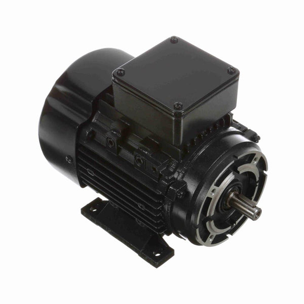 Marathon R364 IEC Motor