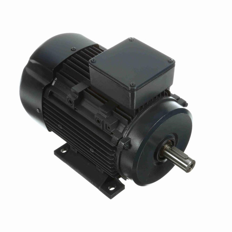 Marathon R419A IEC Motors