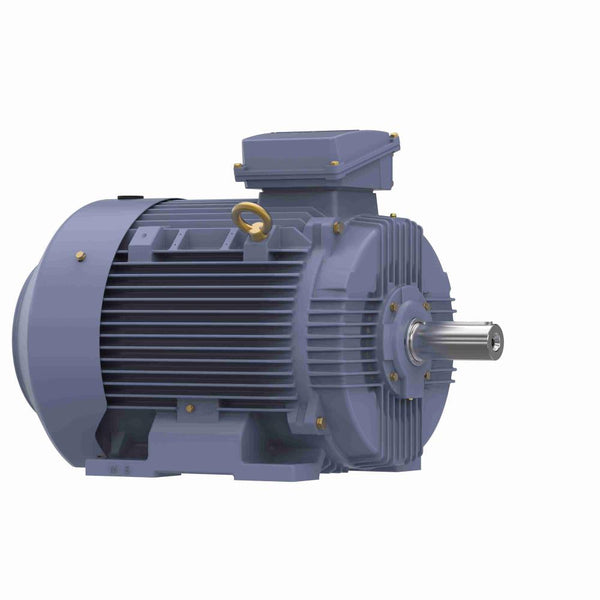 Marathon R501A IEC Motor