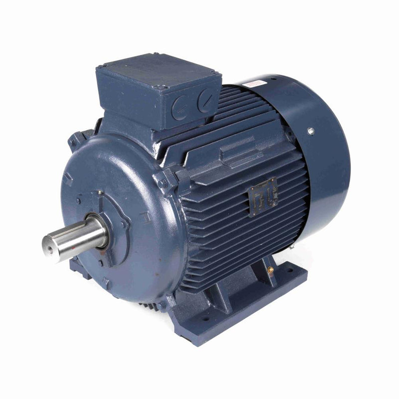 Marathon R507 IEC Motors