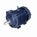 Marathon W612-P IEEE 841 Motors