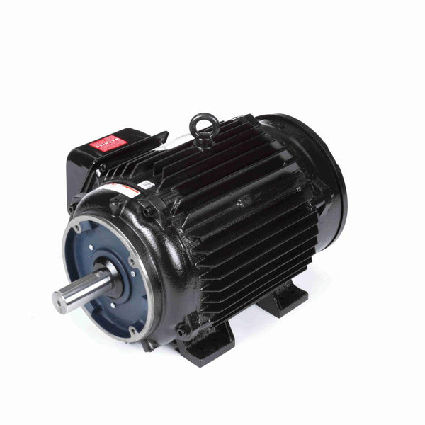 Marathon Y393 Vector Duty Motors