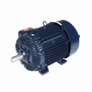 Marathon Y572 Vector Duty Motors
