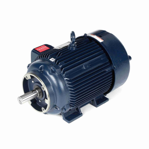 Marathon Y598 Vector Duty Motors