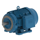 WEG 05018ET3H326TSCF2-W2 W22 NEMA Premium Efficiency 50 HP 4P 324/6TSC 3Ph 575 V 60 Hz IC411 - TEFC - Foot-mounted