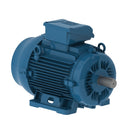 WEG 03018ET3E286TF3-W22 W22 NEMA Premium Efficiency 30 HP 4P 286T 3Ph 230/460//380 V 60//50 Hz IC411 - TEFC - Foot-mounted