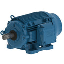 WEG 05089EP3HCT364V-W22 W22 Cooling Tower High Efficiency 12.5/50 HP 8/4P 364/5T 3Ph 575 V 60 Hz IC411 - TEFC - Foot-mounted