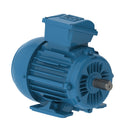 WEG E0.1818EP3WAX63F3-W2 W22Xec IE2 0.18 kW 4P 63 3Ph 220-230-240/380-400-415//460 V 50 Hz IC411 - TEFC - B3T