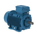 WEG 10018ET3E405TF3-W22 W22 NEMA Premium Efficiency 100 HP 4P 404/5T 3Ph 230/460//380 V 60//50 Hz IC411 - TEFC - Foot-mounted