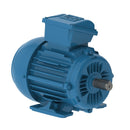 WEG E00236ET3WAX90LF3-W2 W22Xec IE3 2.2 kW 2P 90L 3Ph 220-230-240/380-400-415//460 V 50 Hz IC411 - TEFC - B3T