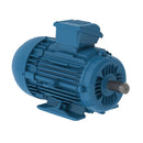 WEG E00318ET3WAXL100LF3W W22Xec IE3 3 kW 4P L100L 3Ph 220-230-240/380-400-415//460 V 50 Hz IC411 - TEFC - B3T