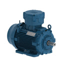 WEG E01136XP3YAX160MF3-W W22Xdb IE2 11 kW 2P 160M/L 3Ph 380-400-415/660-690//460 V 50 Hz IC411 - TEFC - B3T