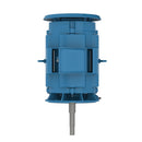 WEG 06036OT3E326JPV Close Coupled Pump NEMA Premium Efficiency 60 HP 2P 326JP 3Ph 230/460 V 60 Hz IC01 - ODP - Footless