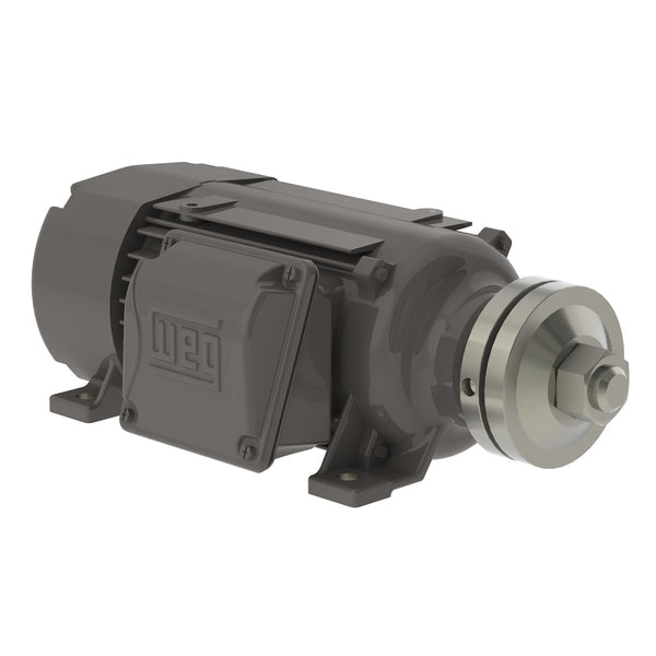 WEG 00336ES3ESA80SL Saw Arbor Motor Standard Efficiency 3 HP 2P 80S/MS 3Ph 208-230/460 V 60 Hz IC411 - TEFC - B3R(D)